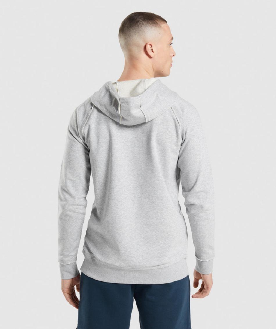 Sudadera Con Capucha Gymshark Legacy Hombre Gris Claro | CO 3625BEX